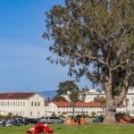 Green Spaces - Houses in Suburban Residential District