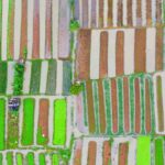 Urban Agriculture - Aerial Photography of Field