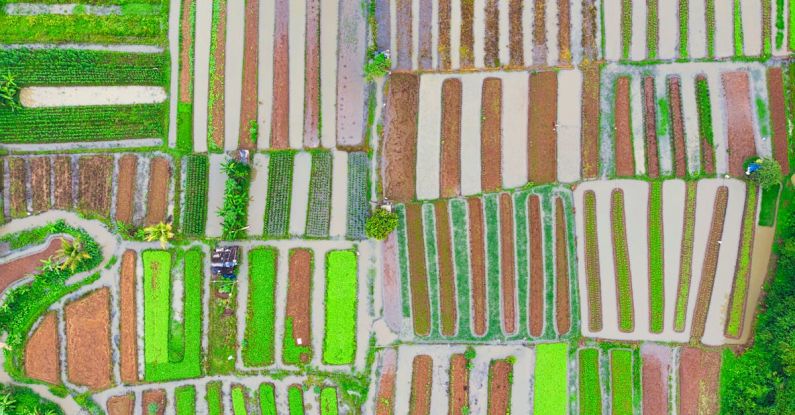 Urban Agriculture - Aerial Photography of Field