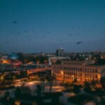 Urban Migration - Birds Flying Over Buildings