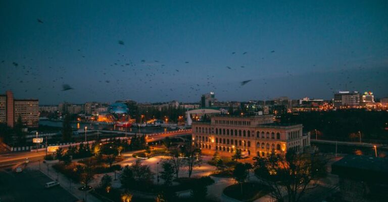 Urban Migration - Birds Flying Over Buildings