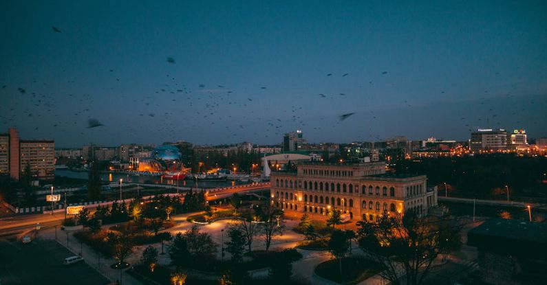 Urban Migration - Birds Flying Over Buildings