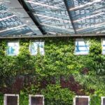 Green Architecture - Photograph of plants growing on a wall