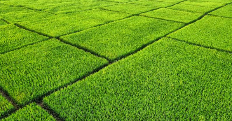 Green Spaces - Rectangular Spaces on Rural Field